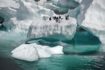 penguins, iceberg, sea