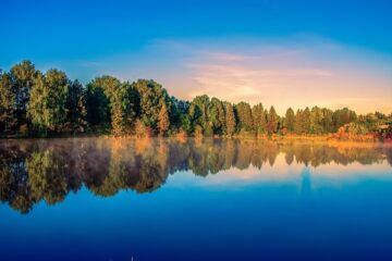 lake, trees, reflection