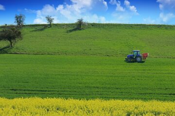 tractor, rapeseed, on the ground-6333009.jpg