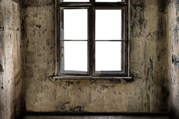 window, interior, room-6353375.jpg