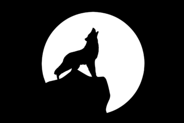moon, wolf, howling-6703059.jpg