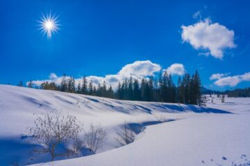 winter, nature, outdoors-7009954.jpg