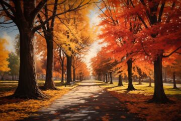 fall, avenue, autumn mood-8338752.jpg